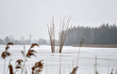 Wernisaż wystawy 11.LandArt Festiwal 2026 33