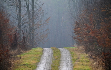 Pejzaż fotograficzny  2