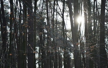 Pejzaż fotograficzny  14