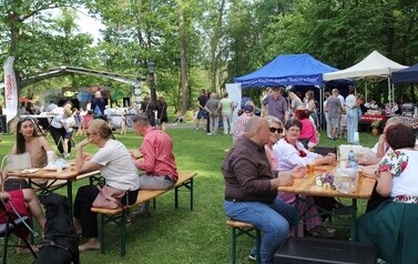 Dzień III Festiwal Mikołaja Reja 2026 19