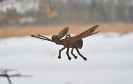 Wernisaż wystawy 11.LandArt Festiwal 2026 21